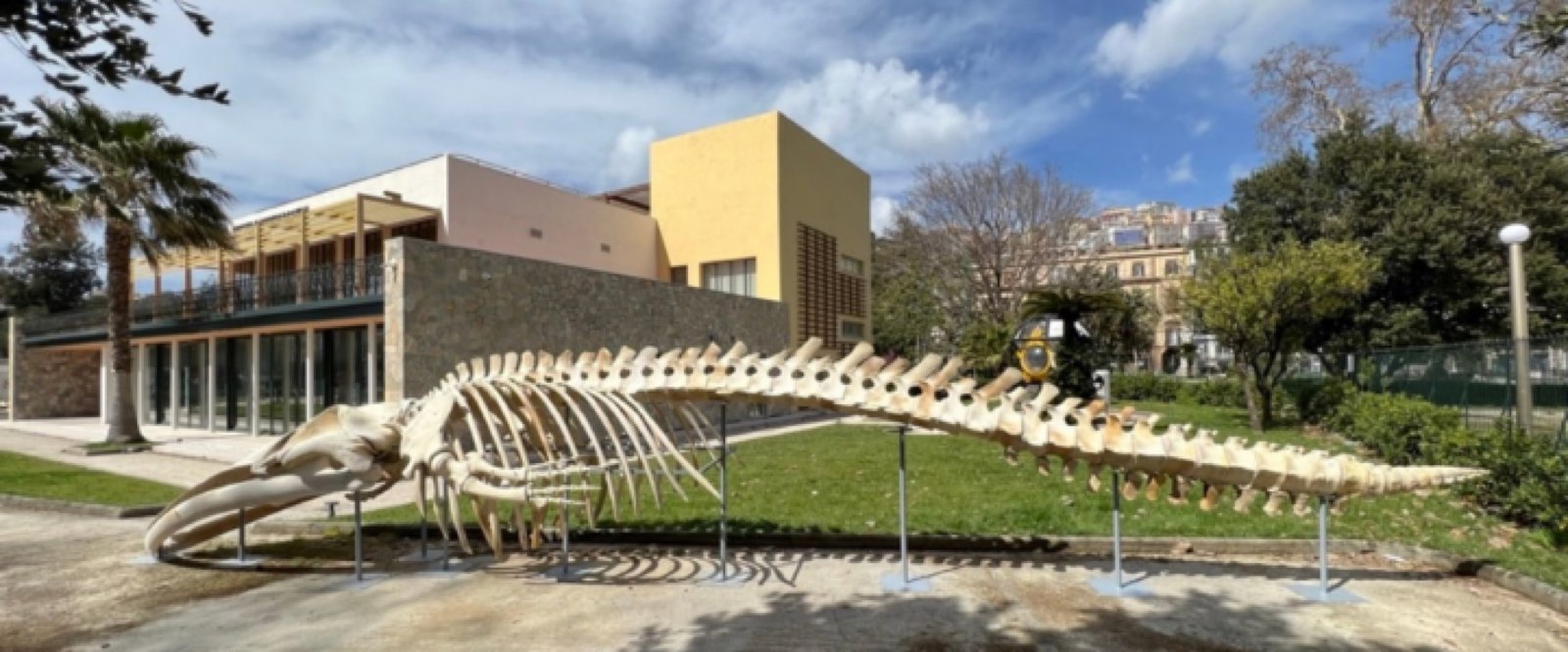 La Stazione Zoologica Anton Dohrn e il Mediterraneo — Acquario e DaDoM, fra i luoghi consigliati dal Follaky Secret Garden