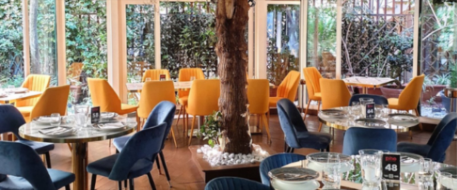 Pino — The garden in the middle of Chiaia, recommended by the Follaky Secret Garden