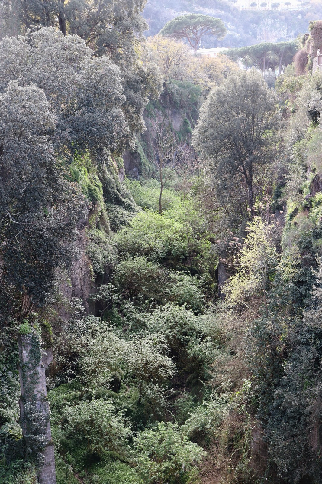 The orderly heart after the vertigo — Sorrento, if there is time left, a stop on the Follaky itinerary in Naples